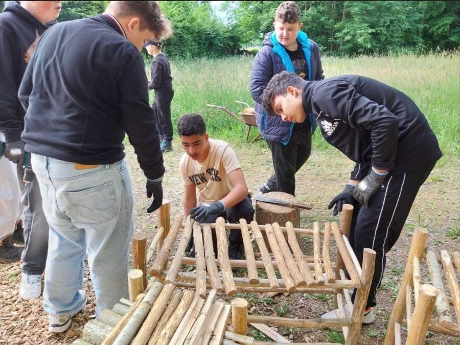 Waldprojekt in Klasse 6
